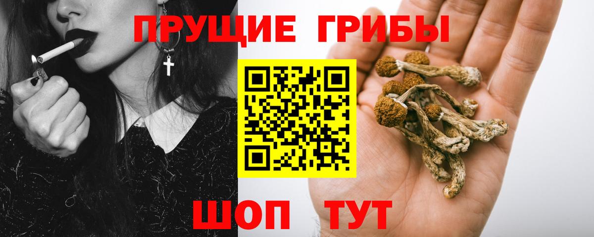 Псилоцибиновые грибы прущие грибы Анапа